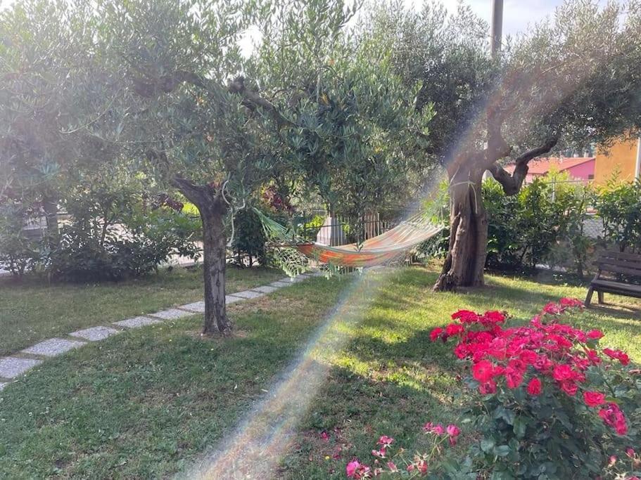 La Dimora Delle Rose Διαμέρισμα Passignano sul Trasimeno Εξωτερικό φωτογραφία