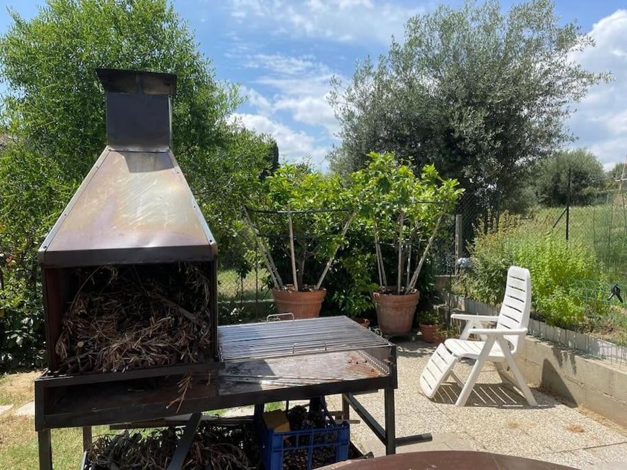 La Dimora Delle Rose Διαμέρισμα Passignano sul Trasimeno Εξωτερικό φωτογραφία