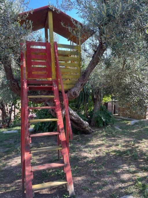 La Dimora Delle Rose Διαμέρισμα Passignano sul Trasimeno Εξωτερικό φωτογραφία
